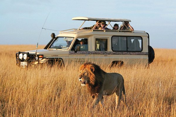 51aa63437cde7f6b577f67d3fcf25a16