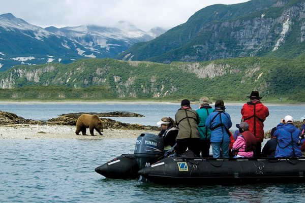 e4cad1e56b04fe766b26da9165f9cc54